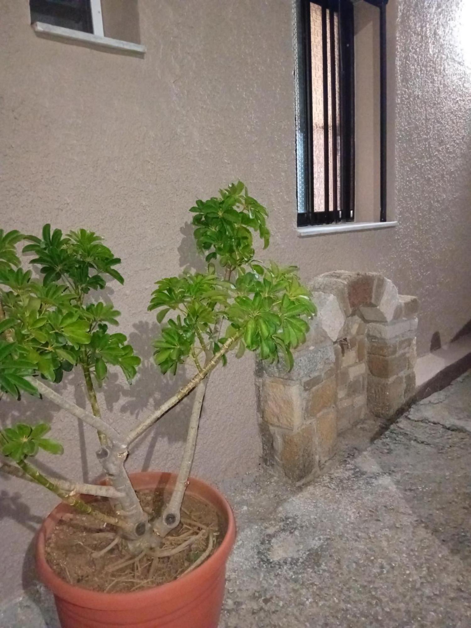Casa Artemis Villa Plátanos Exteriör bild